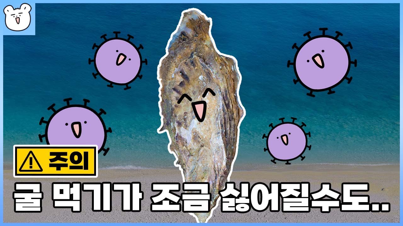 왜 굴을 먹고 노로바이러스에 걸린 사람이 많은 걸까?｜노로바이러스 감염에 대한 불편한 진실