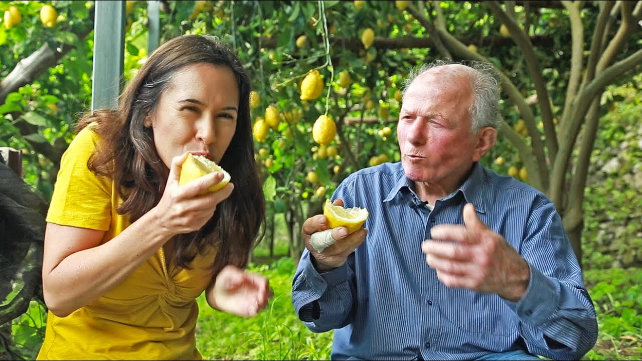 LEMON | How Does it Grow? ITALY SPECIAL: sweet Amalfi lemons