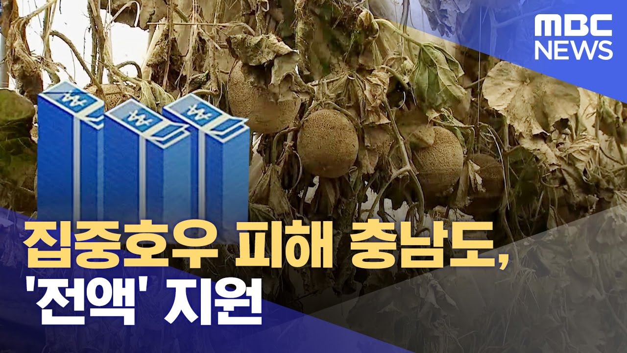 집중호우 피해 충남도, '전액' 지원 (2023.07.24/뉴스데스크/대전MBC)