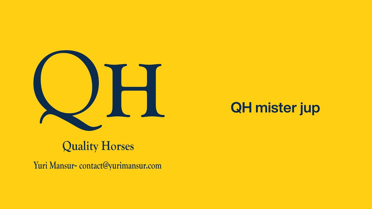 QH Mister Jup- CSI5*Hong Kong jump off