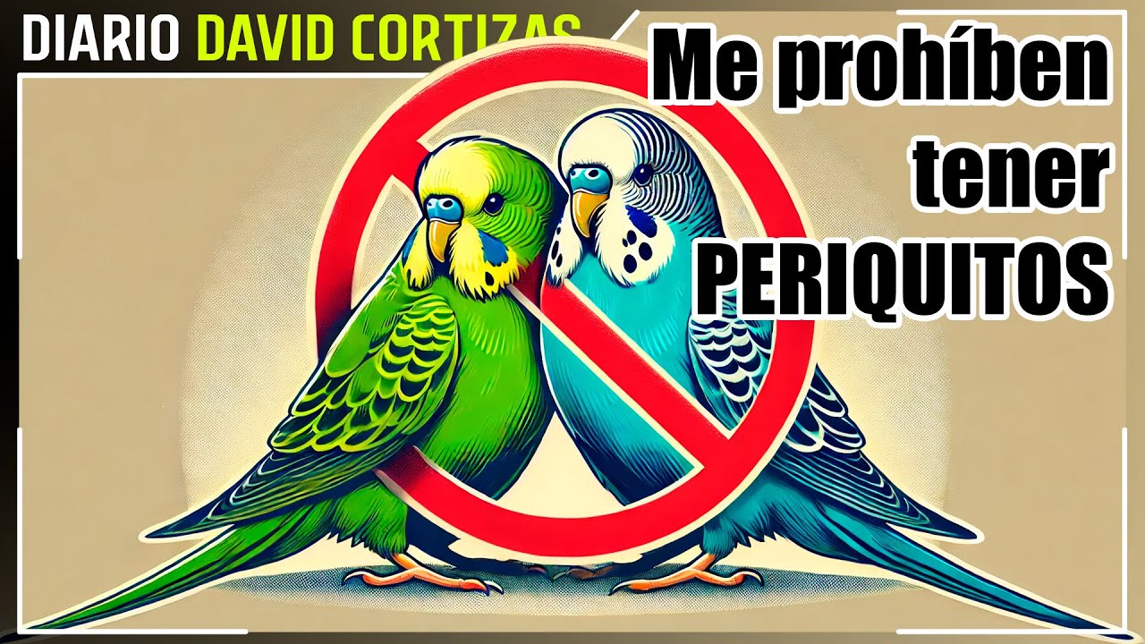 MUY ENFADADO con prohibiciones absurdas - David Cortizas Diario - 30/1/25