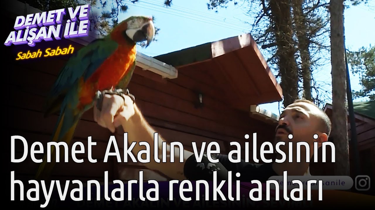 Demet ve Alişan ile Sabah Sabah | Demet Akalın Ve Ailesinin Hayvanlarla Renkli Anları