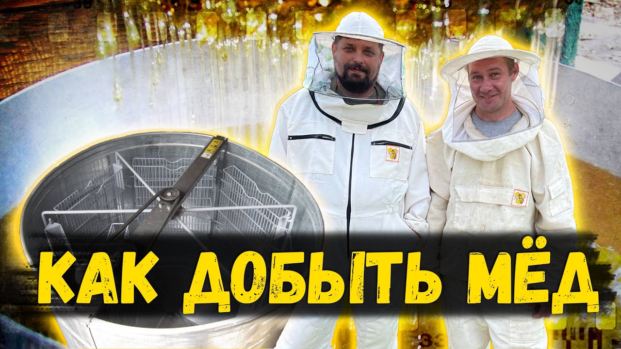 Как гонят мёд. Ручная медогонка и принцип ее работы.