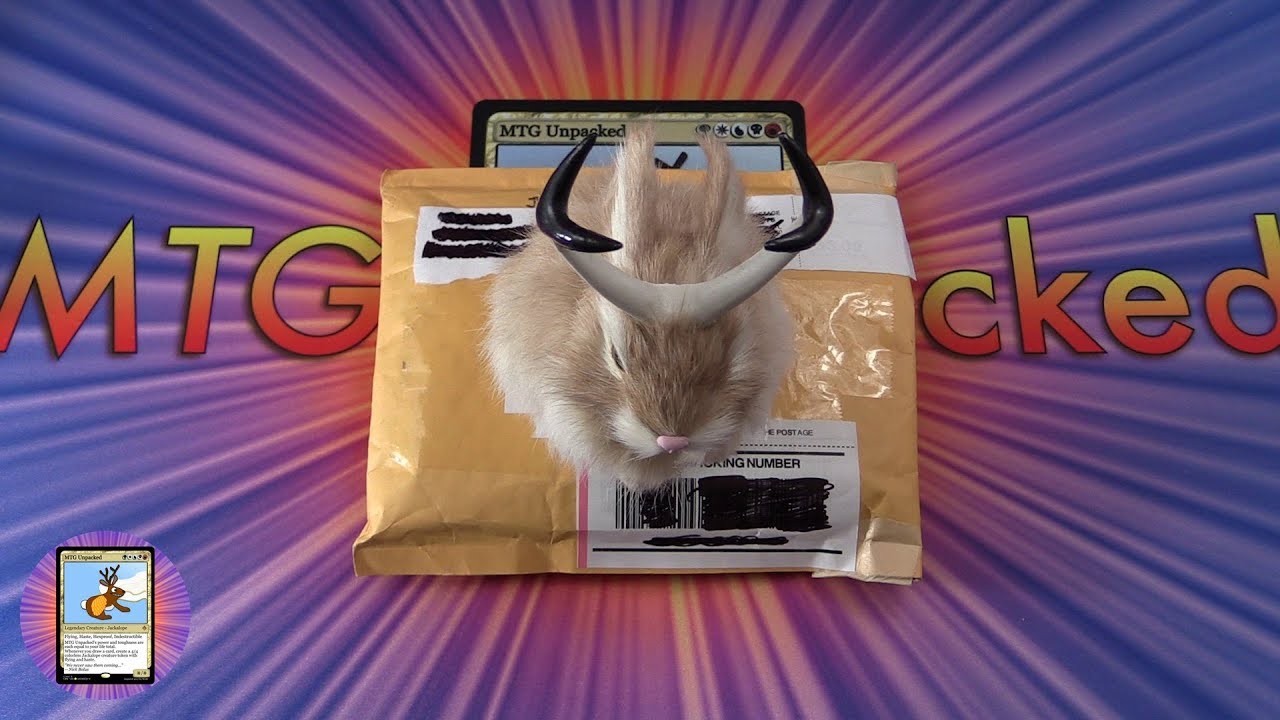 Mail Time #1 - Joey & the Beanstalk!