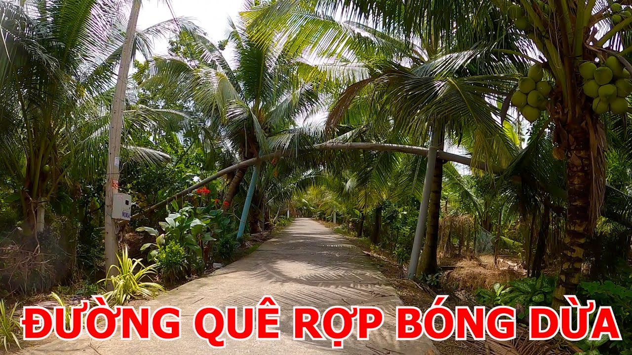CẦU BA LAI - LỘ CHỢ TAM PHƯỚC - CHỢ HỮU ĐỊNH | CHÂU THÀNH - BẾN TRE 01-09-2024