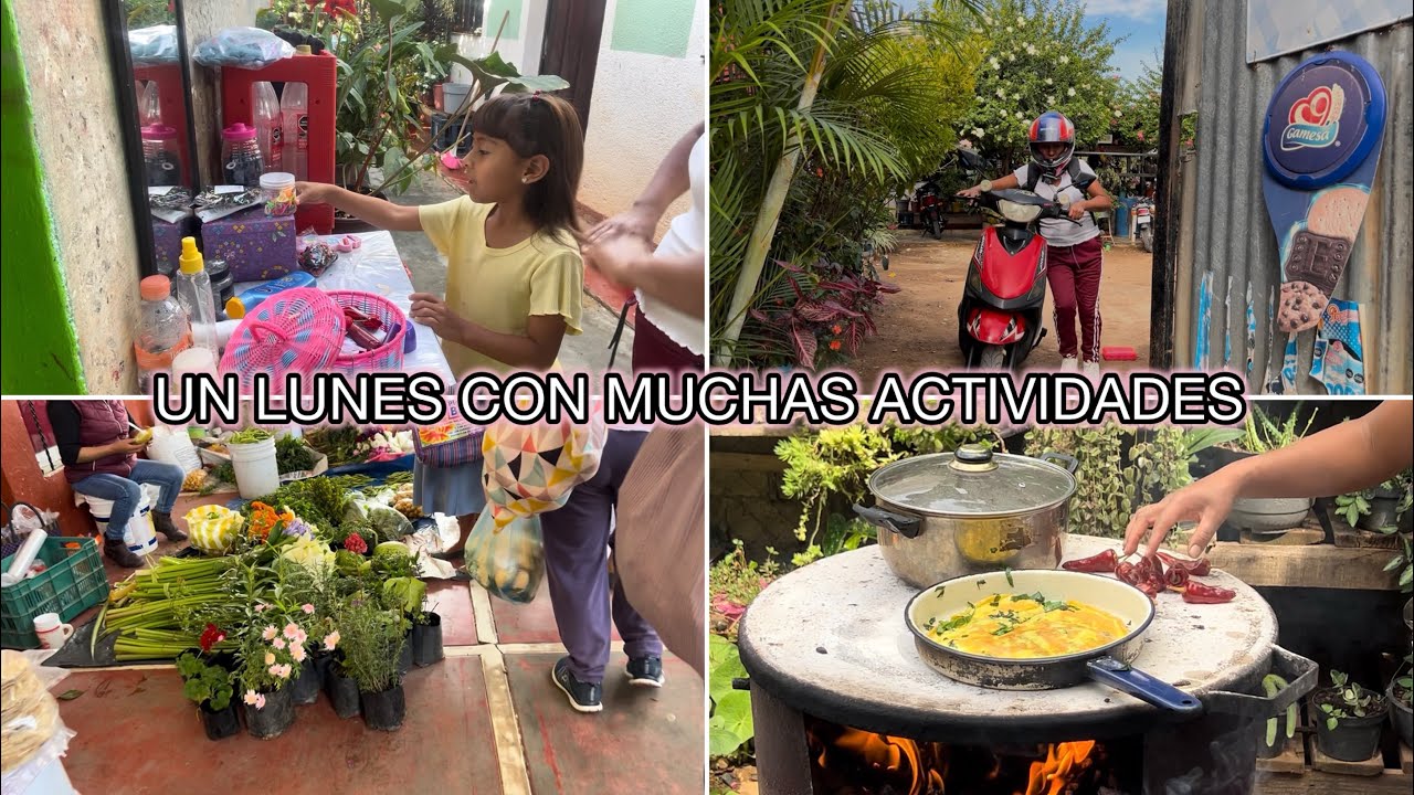Preparé un rico almuerzo 🍲 con verduras 🥒 que fui a traer a la plaza , un lunes de muchas actividad.