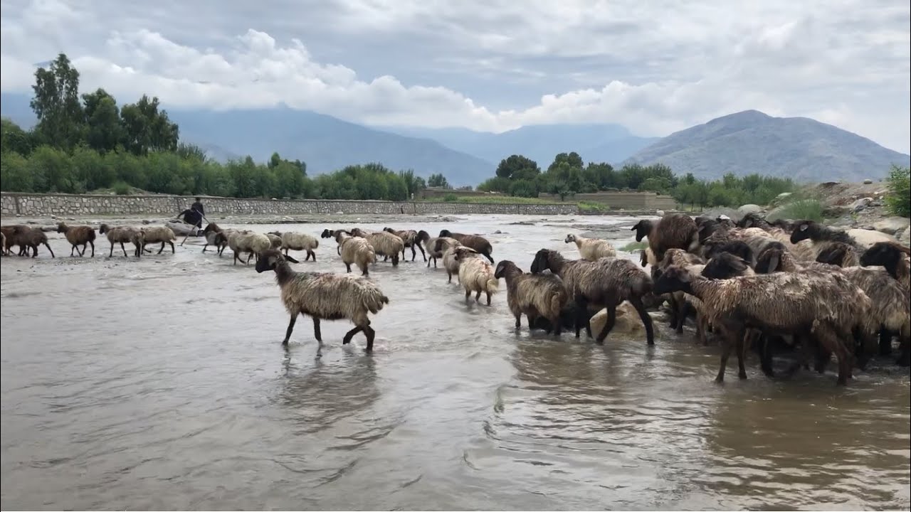 Afghanistan | Kunar Province Beauty | Foods | Views |2022
