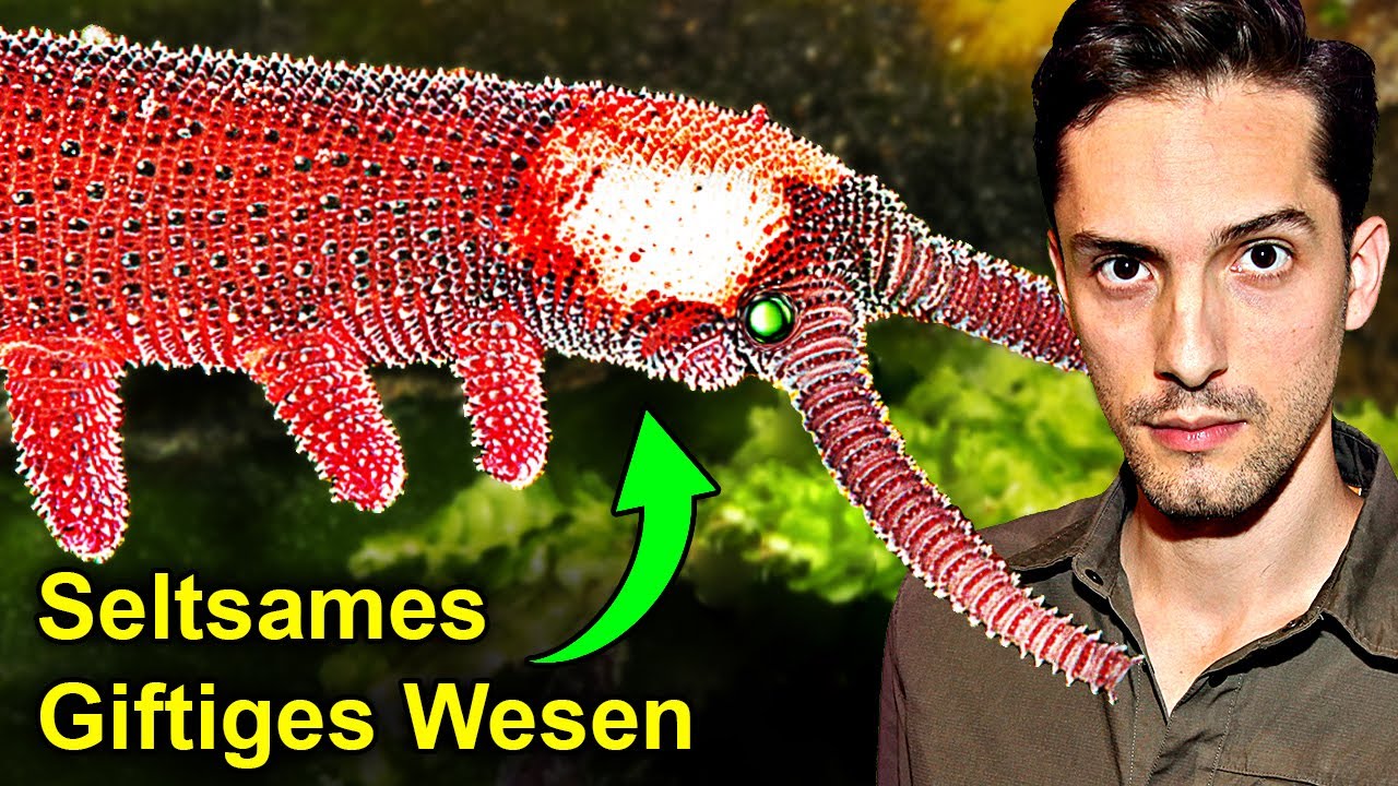 Giftiges Wesen jagt mit Schleimfäden! Gefährlich für uns?