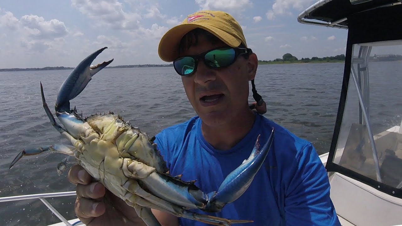How To Catch Crabs with a Trotline | #Survivor