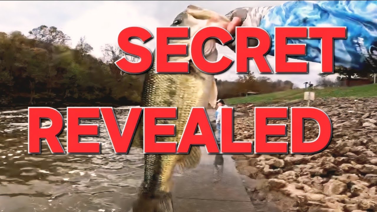 Fishing Taylorsville Lake Tailwater: GIANTS Live HERE IN THE FALL!! #bassfishing 