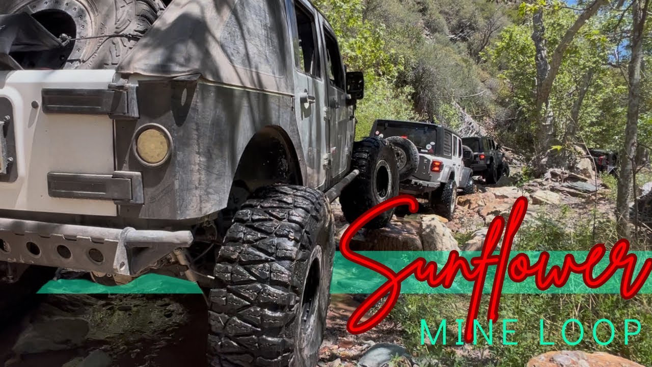 Adventure on SUNFLOWER MINE LOOP!