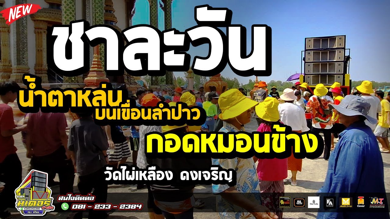 มาใหม่!!! ชาละวัน+น้ำตาหล่นที่เขื่อนลำปาว+กอดหมอนข้าง(วัดไผ่เหลือง ดงเจริญ) I วงดนตรีมิเตอร์มิวสิค