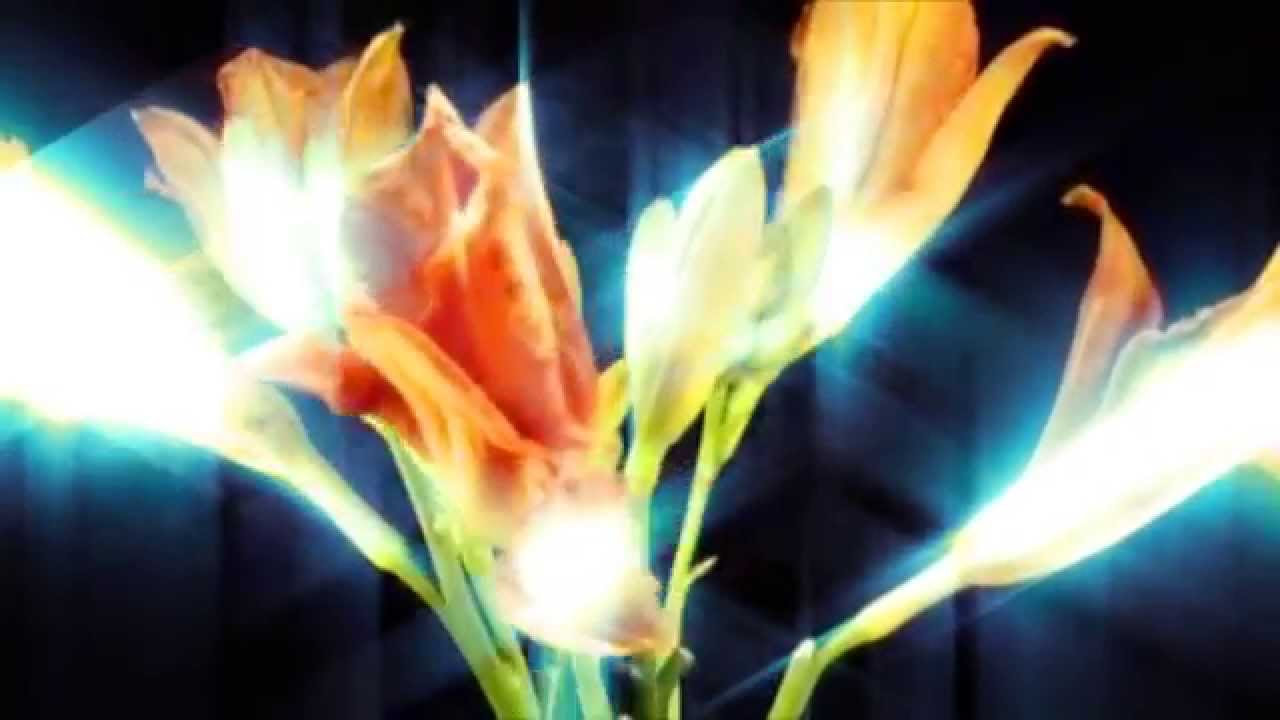 ᴴᴰ Arka Noego - 