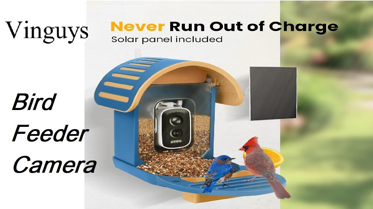 VINGUYS Bird Feeder with 2.5K UHD Camera with AI Identify over 11,000+ Bird Species Review