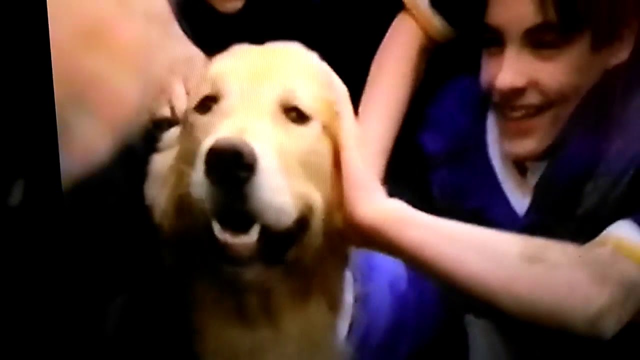 The Parent Trap (1998) VHS Previews