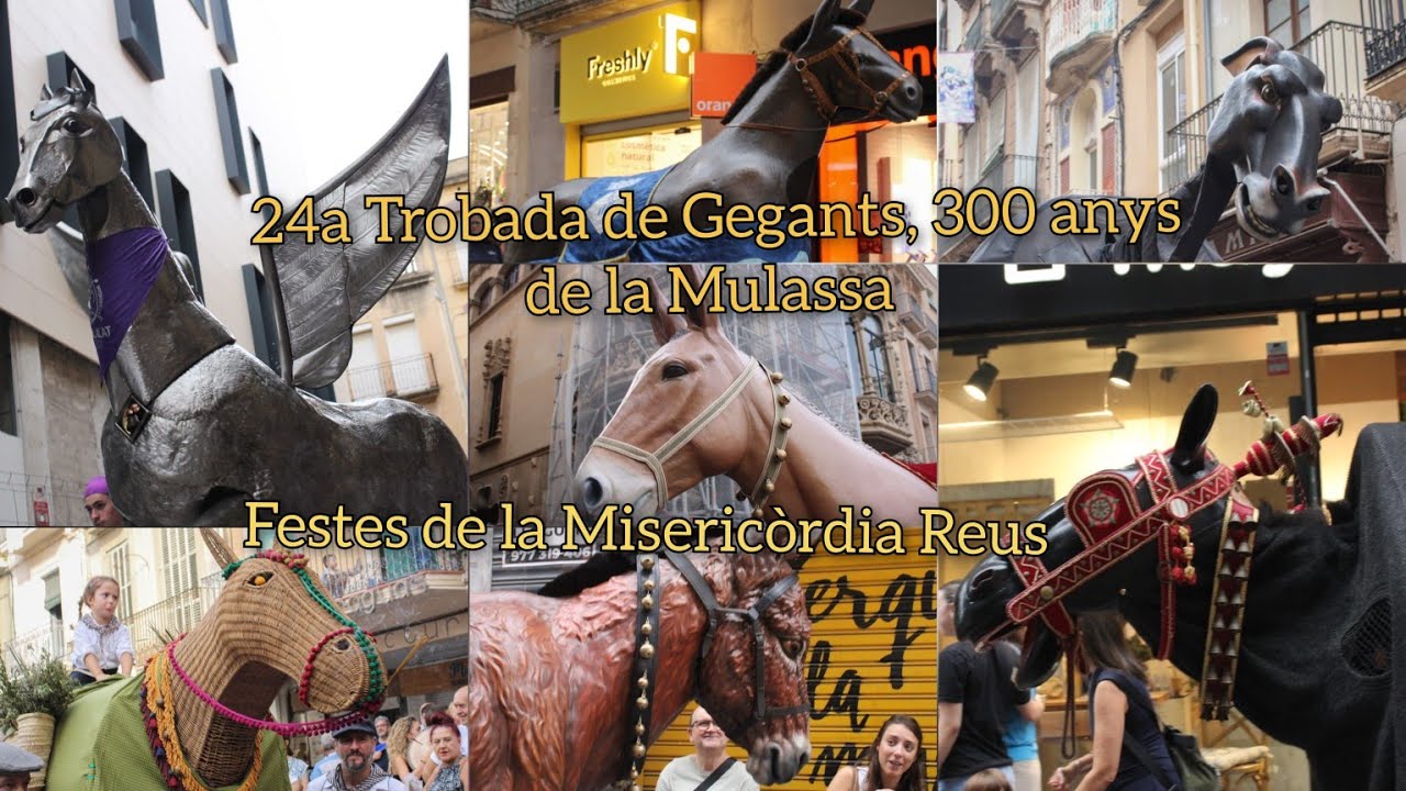 24a Trobada de Gegants, 300 anys de la Mulassa - Festes de la Misericòrdia (13/9/25)