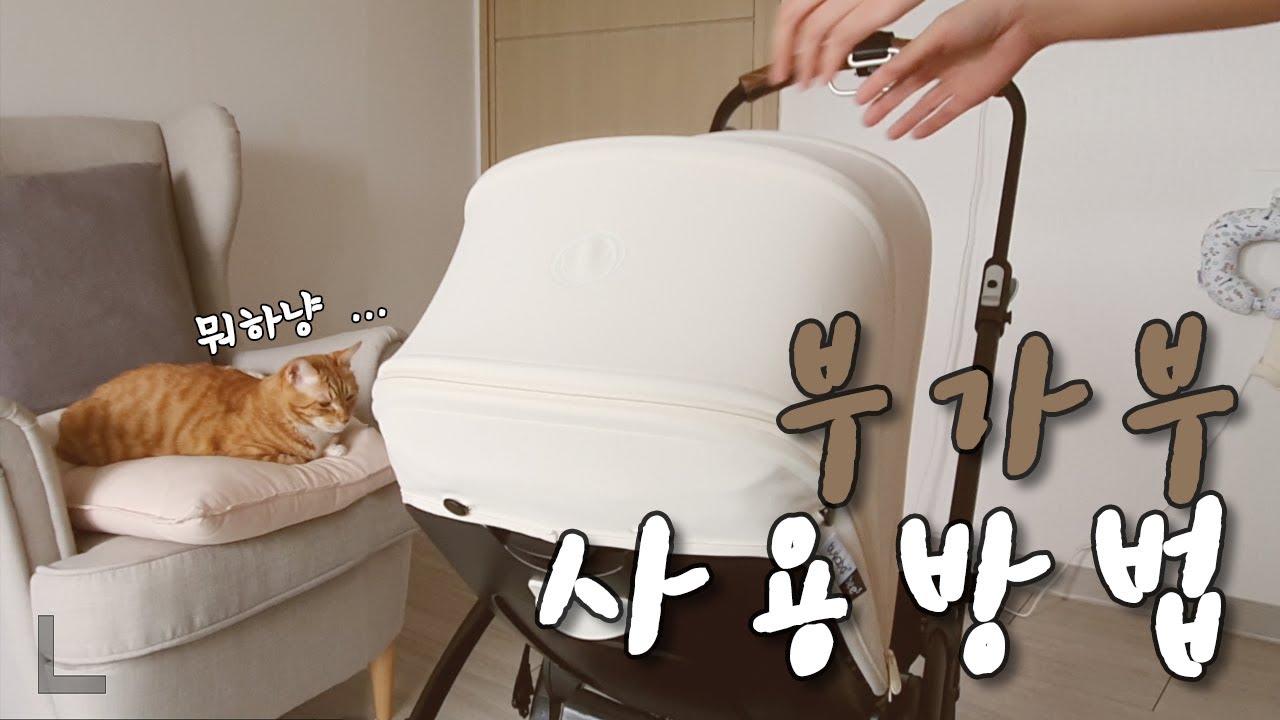 부가부 비5 사용법 / 사용하면서 느낀 장단점🔥