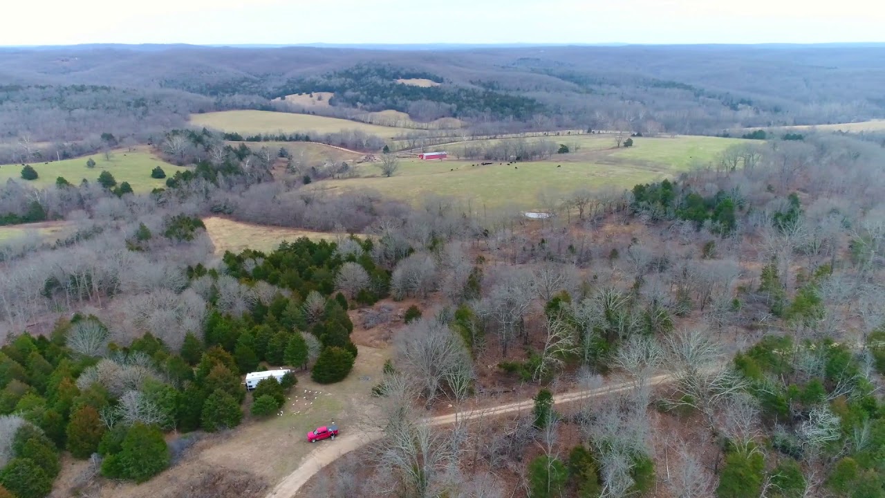 Owner Financed 10 Acres for $500 Down at Bobcat Hollow - InstantAcres.com - ID#BH17A