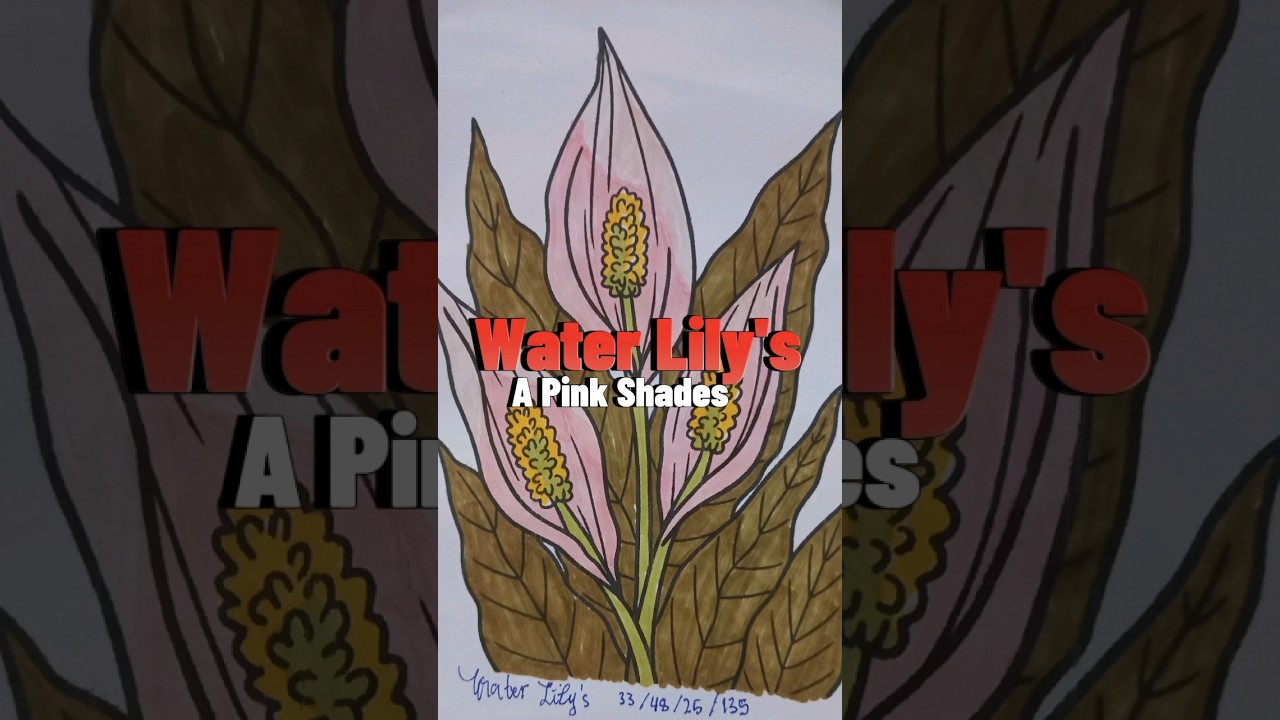 #coloringrelaxation #coloring A Pink Shades Water Lily's #antistress #art