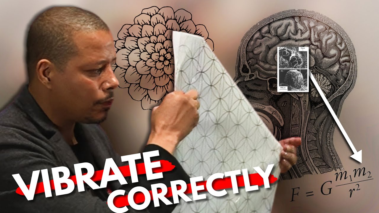Terrence Howard: The TRUTH About &ldquo;raising your vibration&rdquo; No One Will Tell You&hellip;