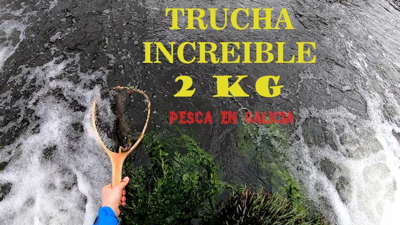 INCREÍBLE TRUCHA DE 2 KILOS!! - PESCA EN GALICIA 2019 - #1