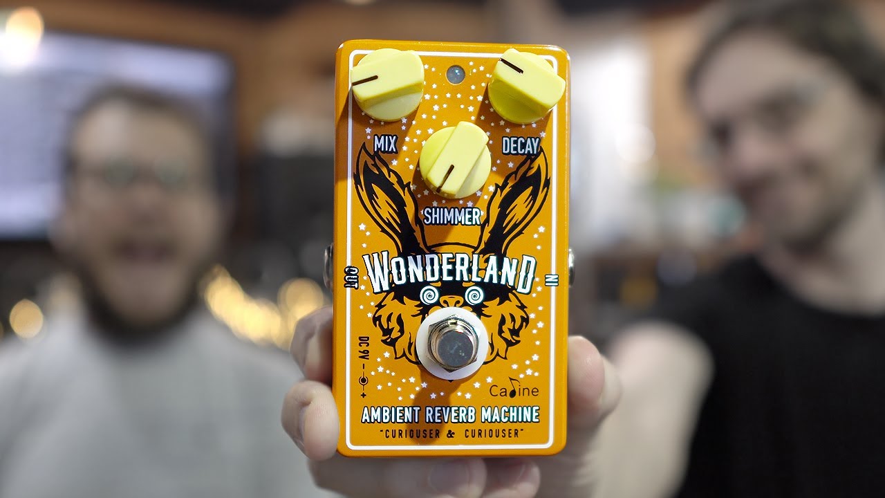 To Shimmer or not to Shimmer - Caline Wonderland Ambient Reverb Machine