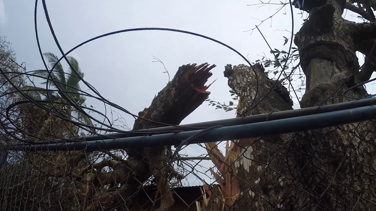 KO NEWS EXCLUSIVE FOOTAGE! Hurricane Iota on Little Corn Island, Nicaragua. Nov. 2020
