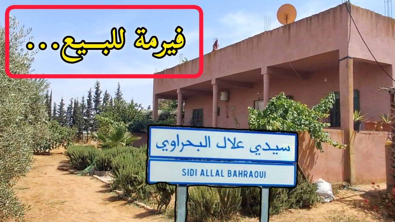 ✨️هكتار مجهزة سكن و بئر والأشجار مختلفة نواحي📍سيدي علال بحراوي ثمن 130 مليون!!!