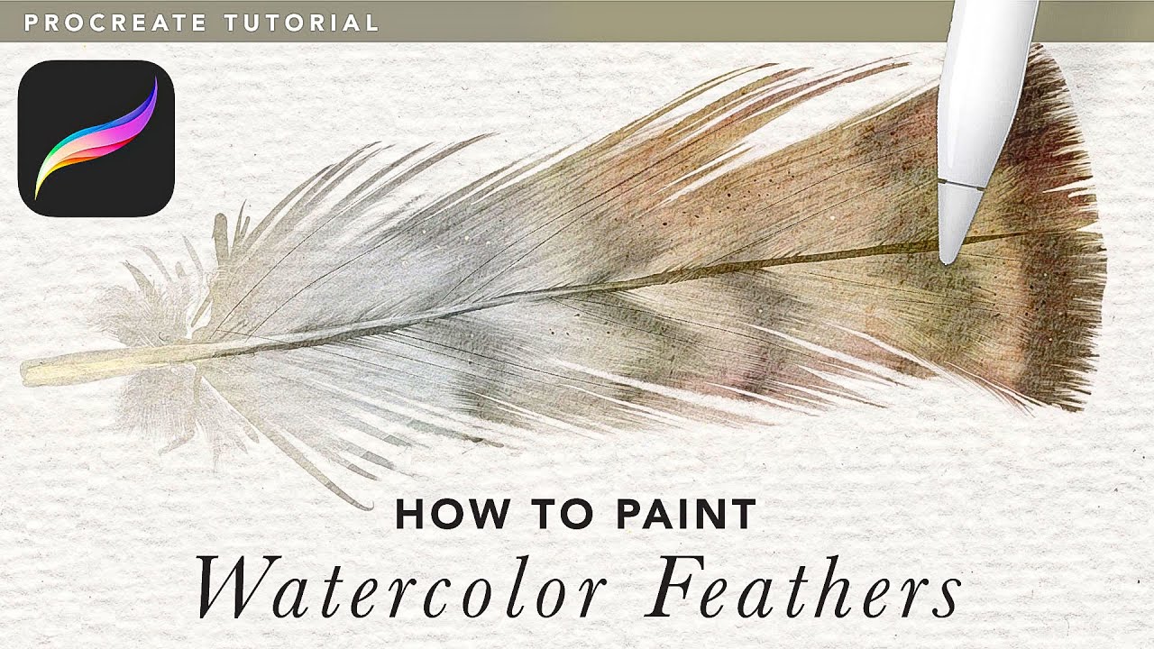 Watercolor Feathers Tutorial for Procreate