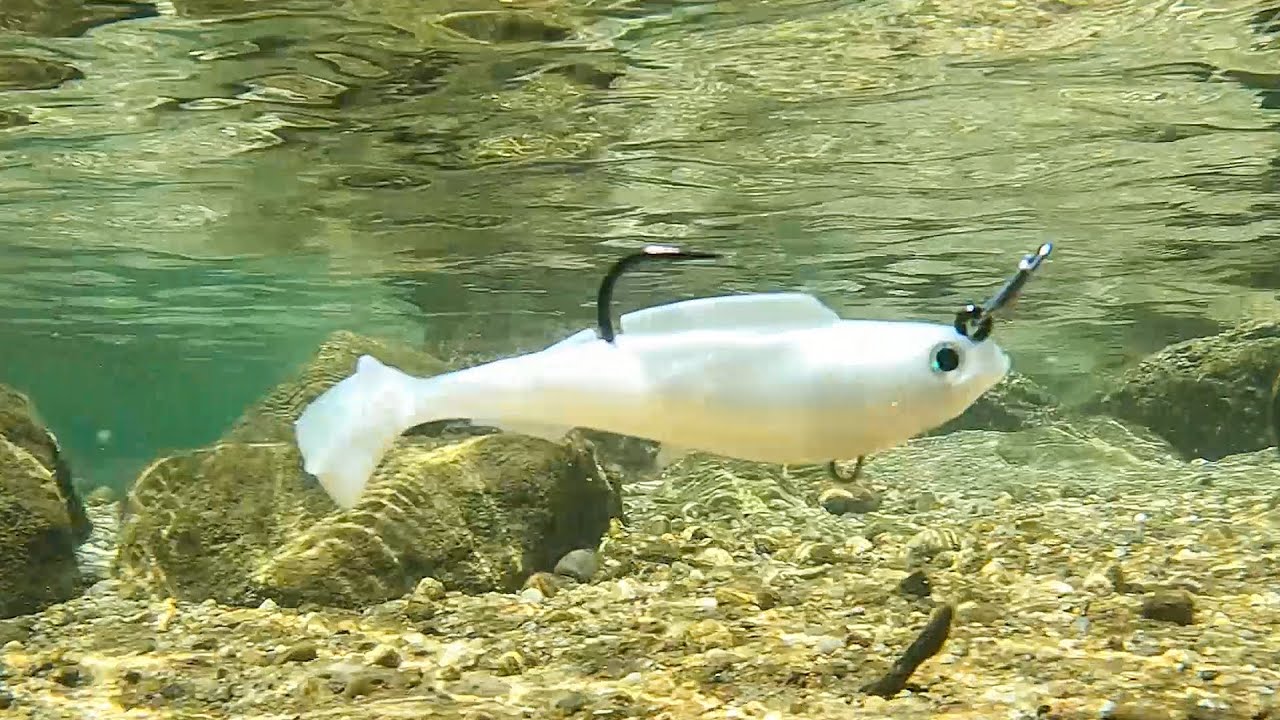 Fishing Z-Man HerculeZ Swimbaits for Striped Bass | Field Test Favorite
