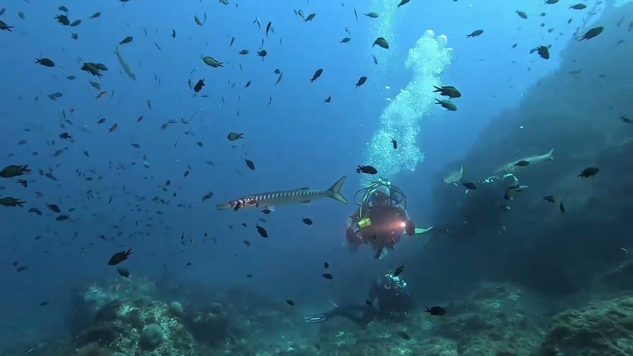 Plongée aux Moyades