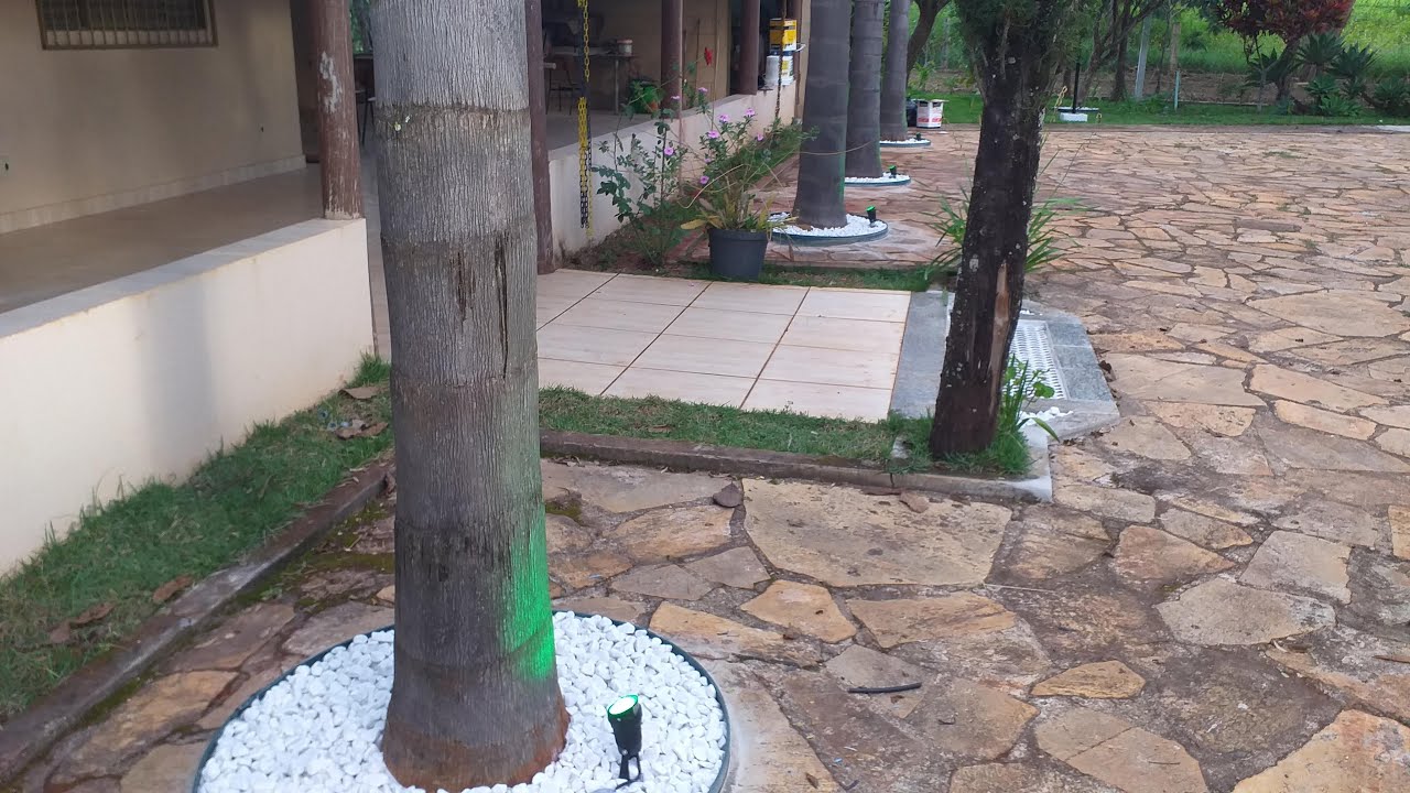 Passo a passo para iluminação de coqueiros e jardins