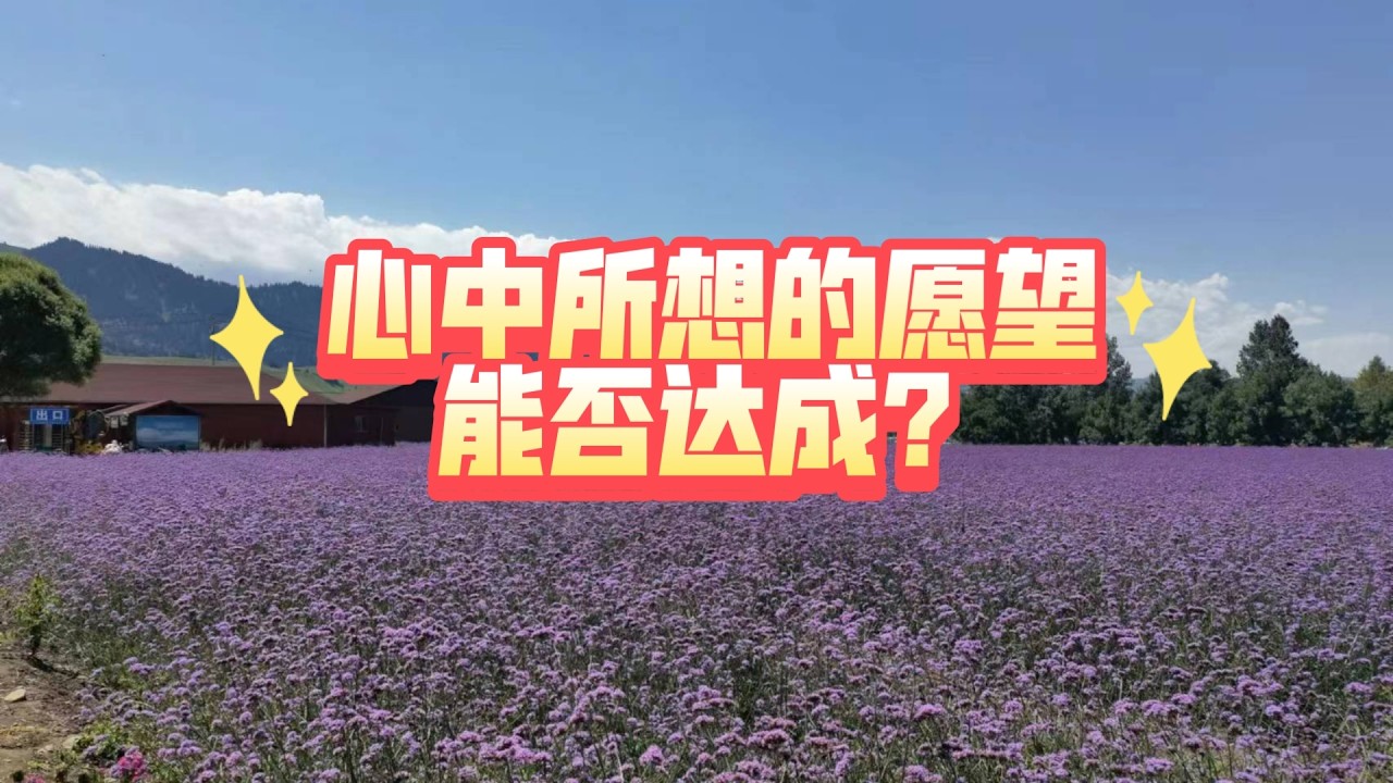 心中所想的愿望能否达成？（不限时空 本期有雷，玻璃心慎入!）