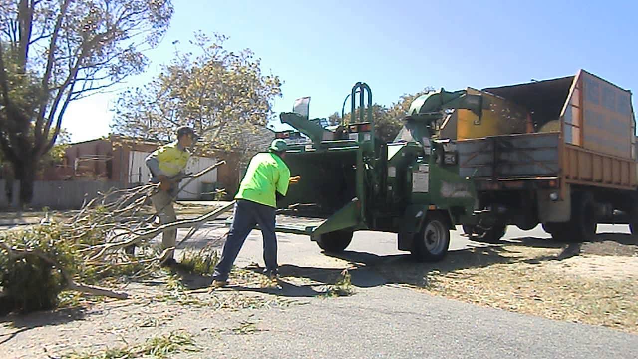 Tree Lopping australia Perth