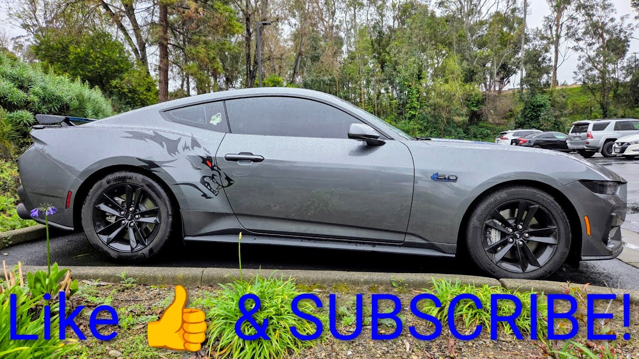2025 Ford Mustang GT 5.0//POV walk-around & cold start!  V233