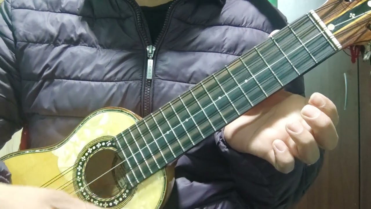 Notas del Charango Mi menor, Si7, La Menor y coros.