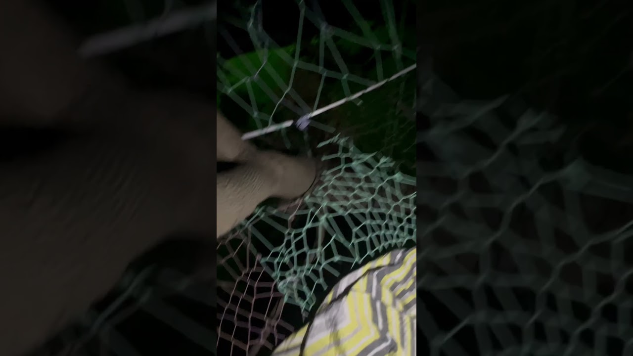 #treenet #nanajuju back at weaving treenet using 550 paracord crazy pattern nighttime