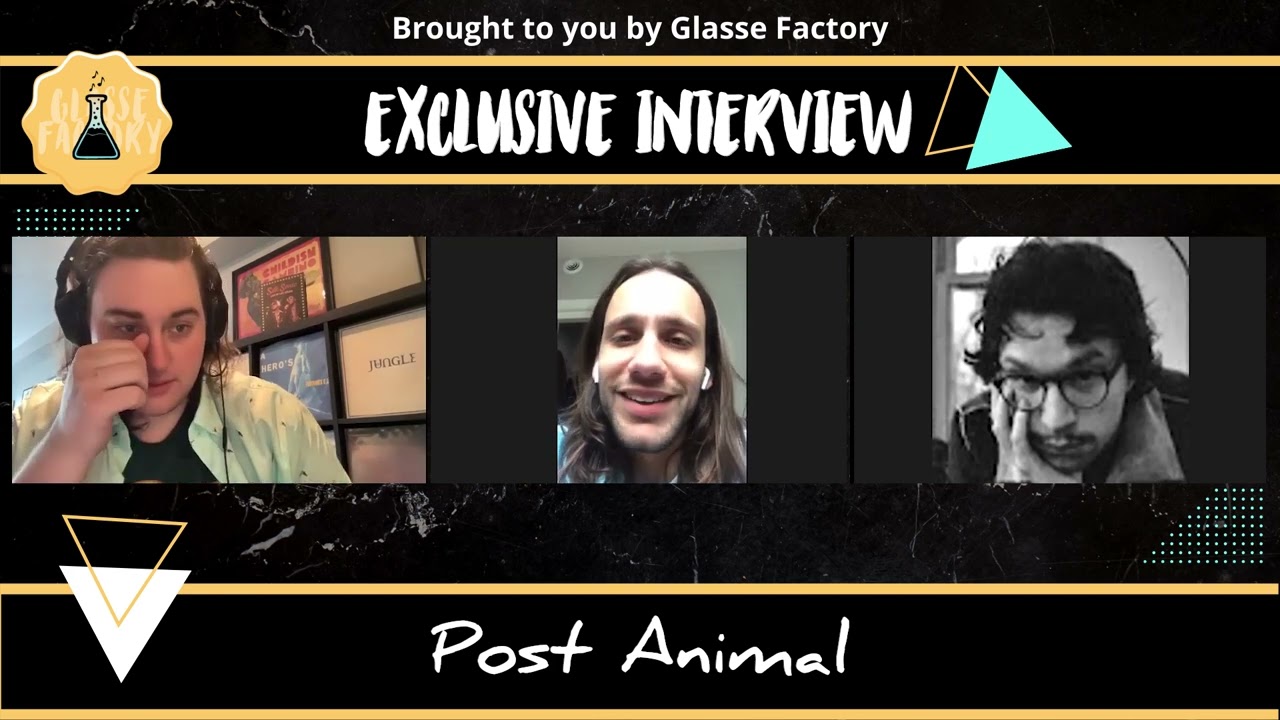 Post Animal Zoom Interview