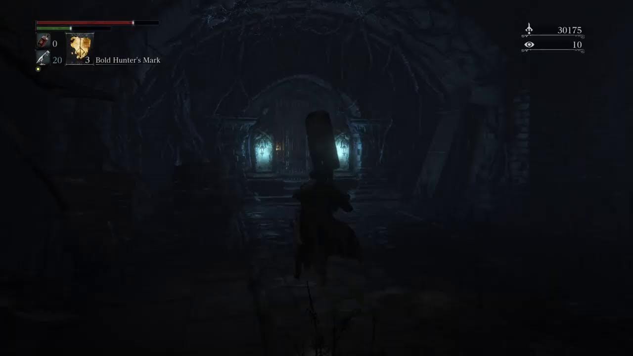 Bloodborne no commentary