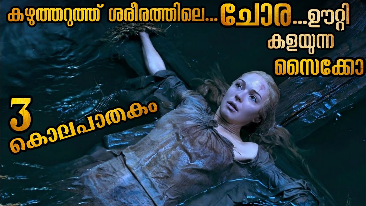 വിചിത്രമായ മൂന്നു കൊലപാതകം🥵🥵 | കിടിലൻ ത്രില്ലർ @malluexplainer185