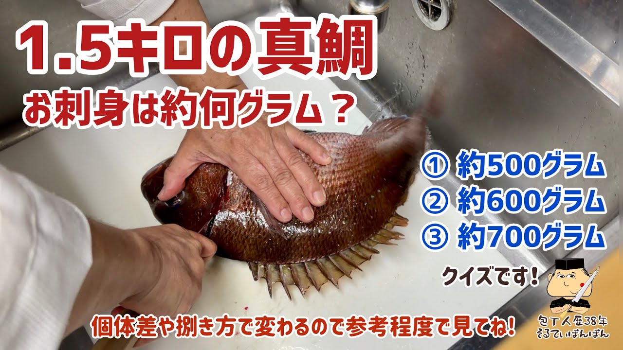 #358 【1.5キロの真鯛の刺身は何グラム？】京都有次の牛刀で捌く！