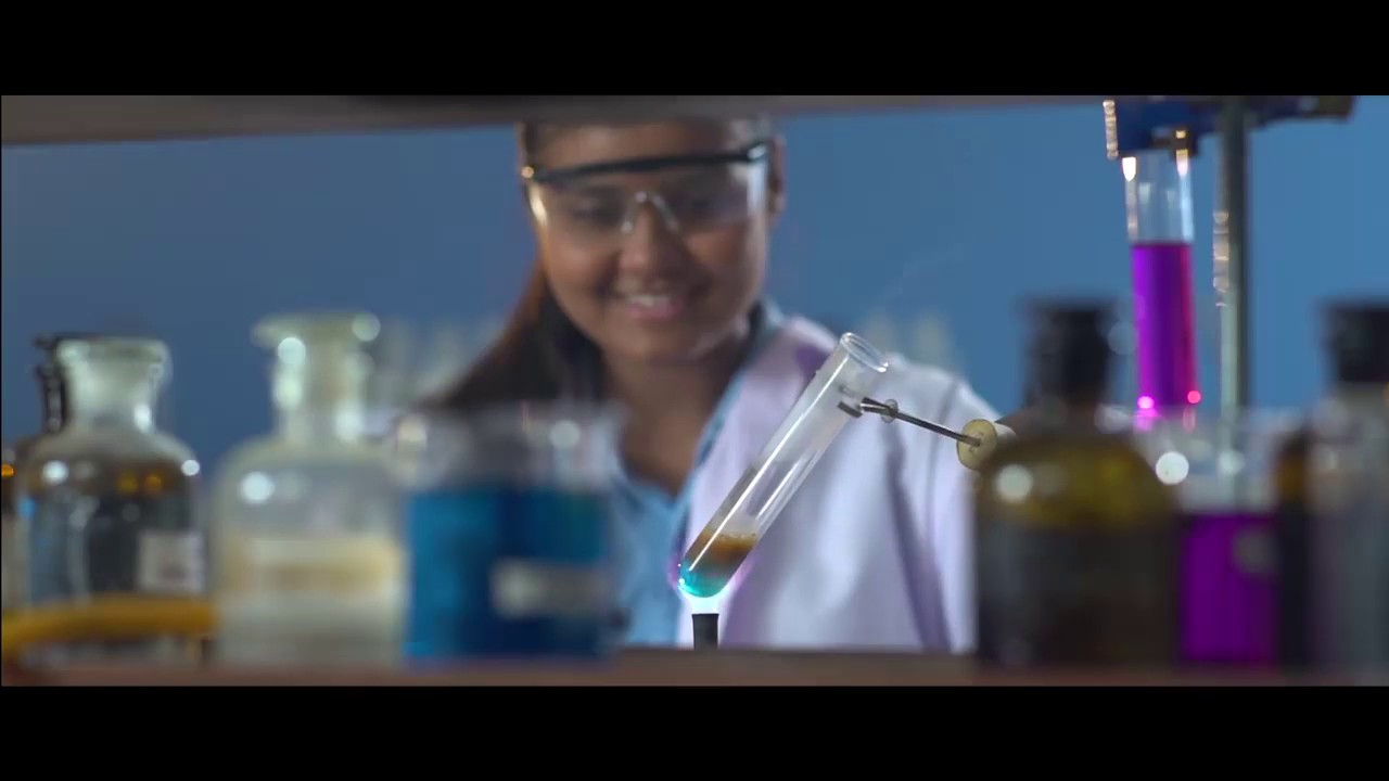 Beaconhouse PECHS Campus College Programme