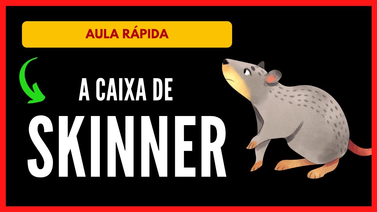 A CAIXA DE SKINNER | Resumo sobre o experimento de B. F. Skinner [Behaviorismo | Psicologia]