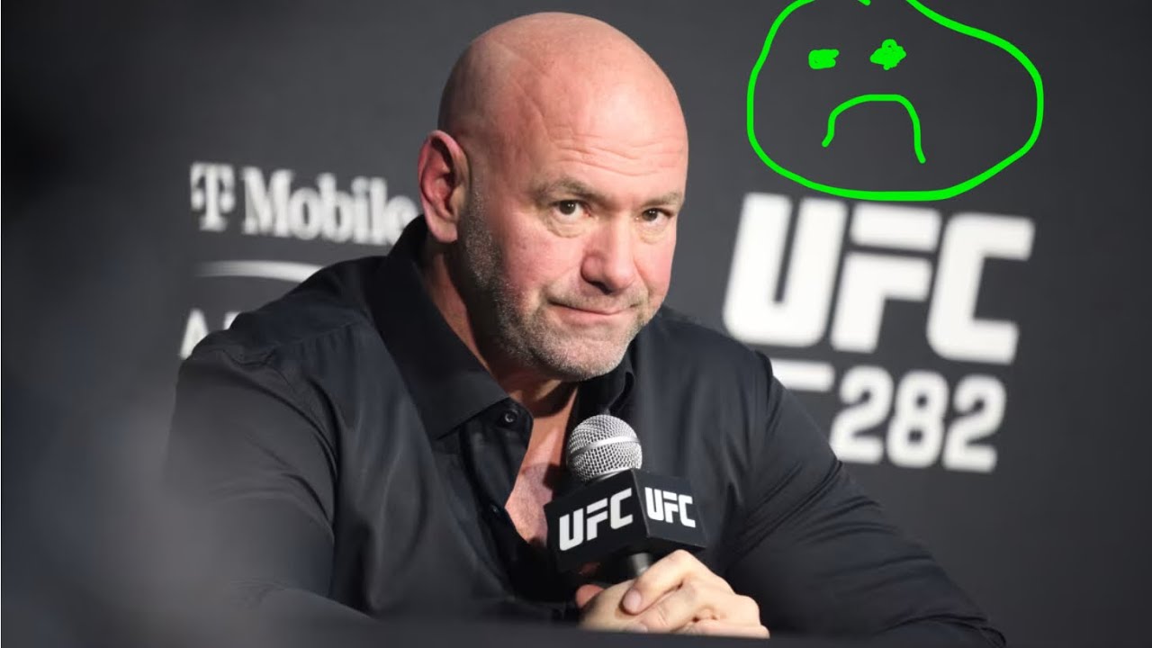 Is there anything exciting about the UFC at this moment?
