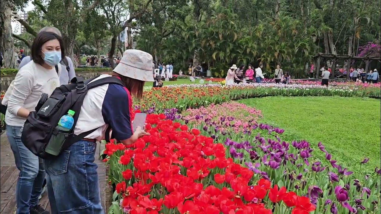 士林官邸 #鬱金花展