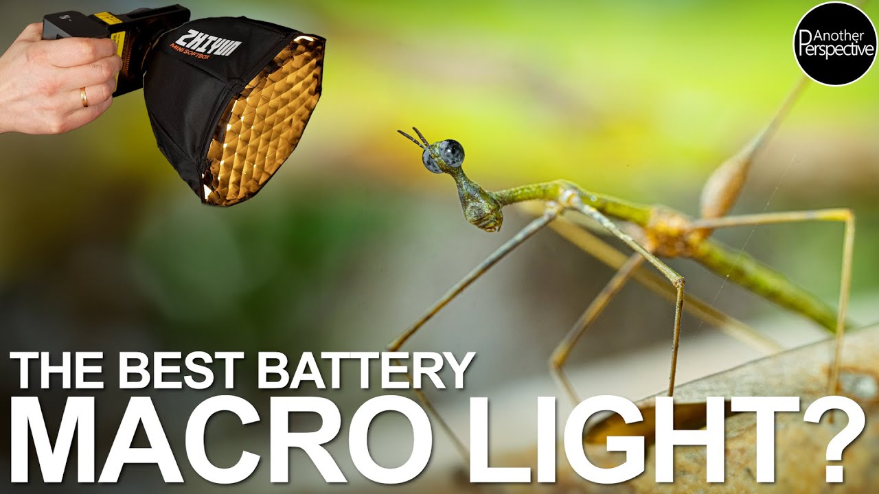 The Best Macro Light I have ever used! ZHIYUN