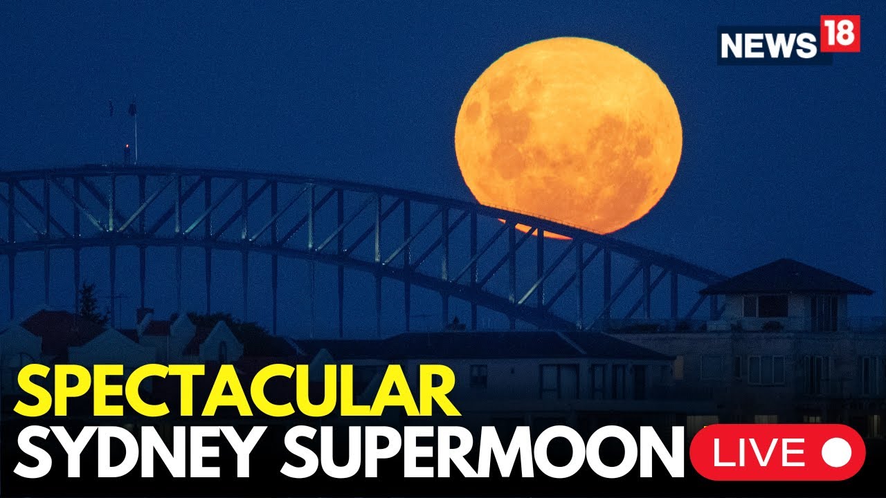 LIVE Footage: Supermoon Lights Up Sydney Sky Over Bondi Beach | Spectacular Views | Sydney Skyline