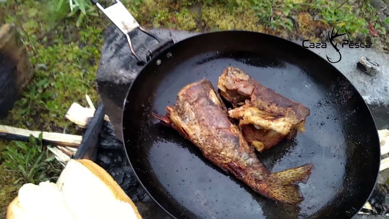 Tesoro De Pesca | Caza Y Pesca