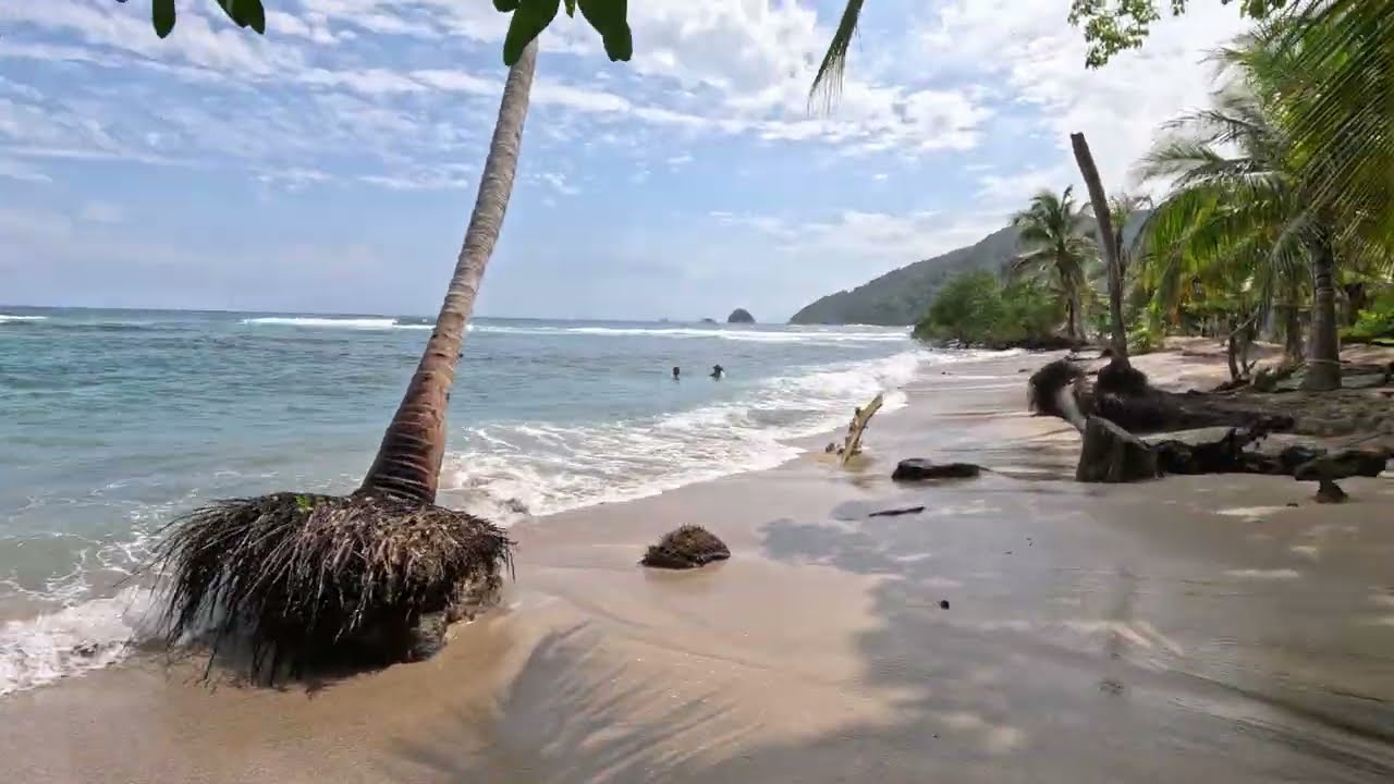 Plus Ultra Chocó's Sapzurro Playa Baja Beach Walk