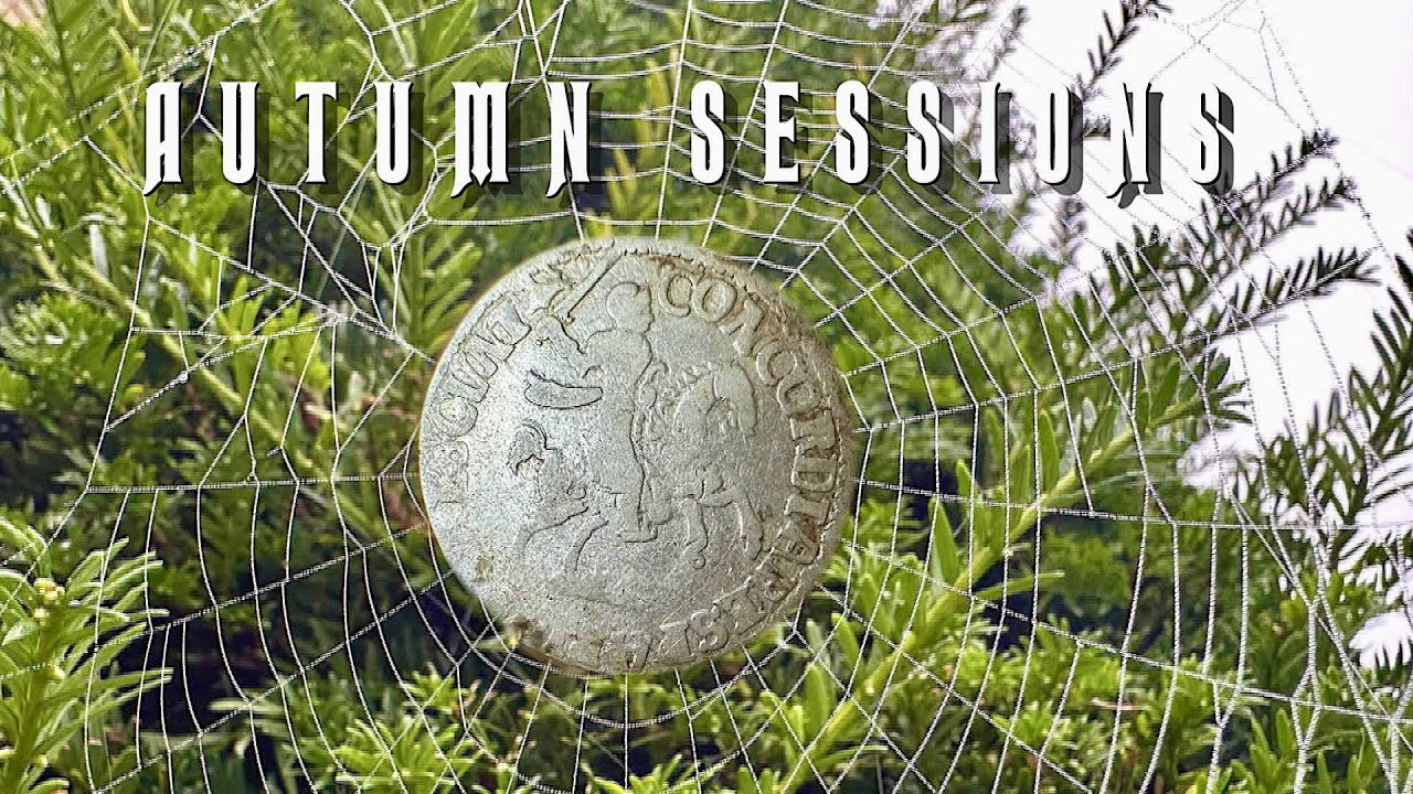 Metal Detecting in the Netherlands  NR 99
